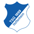 TSG Hoffenheim crest