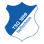 TSG Hoffenheim crest