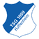 Hoffenheim crest