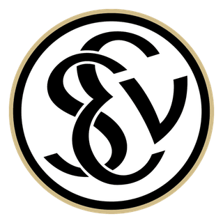 SV Elversberg crest